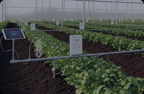 Smart Greenhouse & Farm Monitoring and Control Dashboard