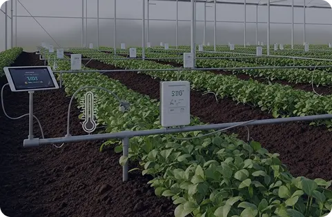 project second picture