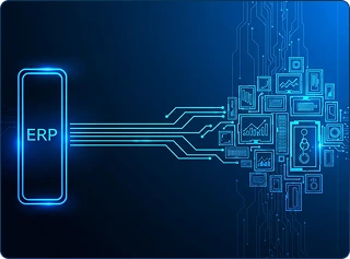 ERP & Enterprise Integration