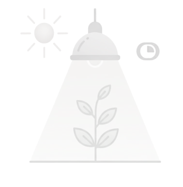 Lighting Control Module